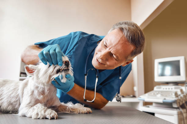 Best Emergency Root Canal Treatment in Mount Washington, KY